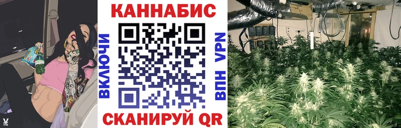 Марихуана планчик  Гвардейск 